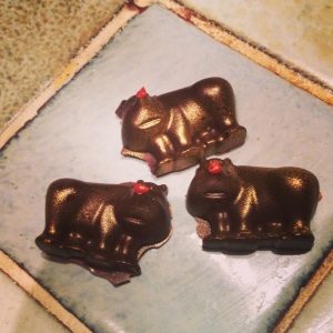 My Rudolph the Red Nosed Rhino chocolates